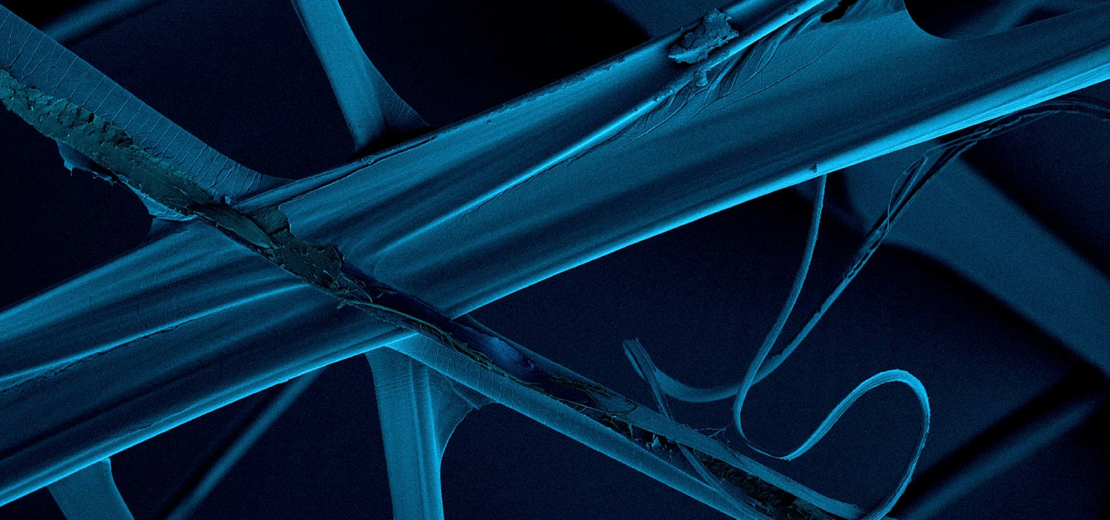 Microscopic view of long, blue pipes connected by fine blue filaments against a dark background